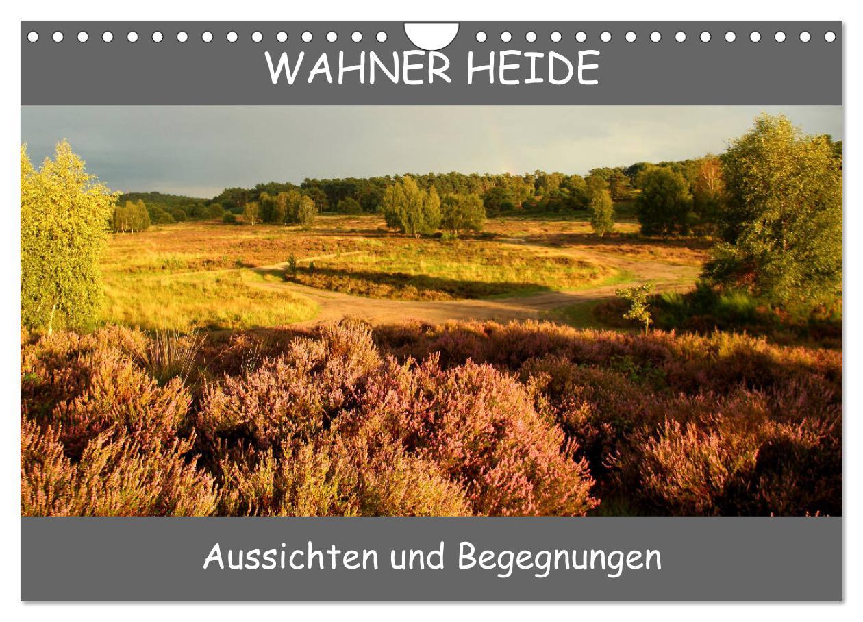 Vorderes Coverbild Wahner Heide - Aussichten und Begegnungen (Wandkalender 2026 DIN A4 quer), CALVENDO Monatskalender