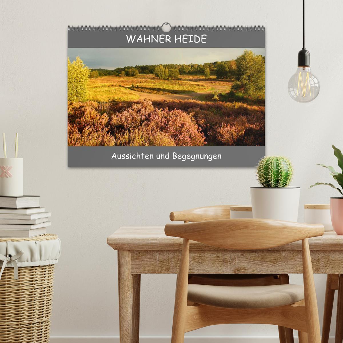 Beispielinhalt (Bild) Wahner Heide - Aussichten und Begegnungen (Wandkalender 2026 DIN A3 quer), CALVENDO Monatskalender