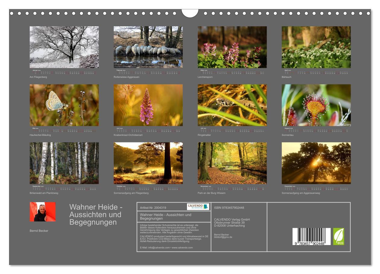 Beispielinhalt (Bild) Wahner Heide - Aussichten und Begegnungen (Wandkalender 2026 DIN A3 quer), CALVENDO Monatskalender