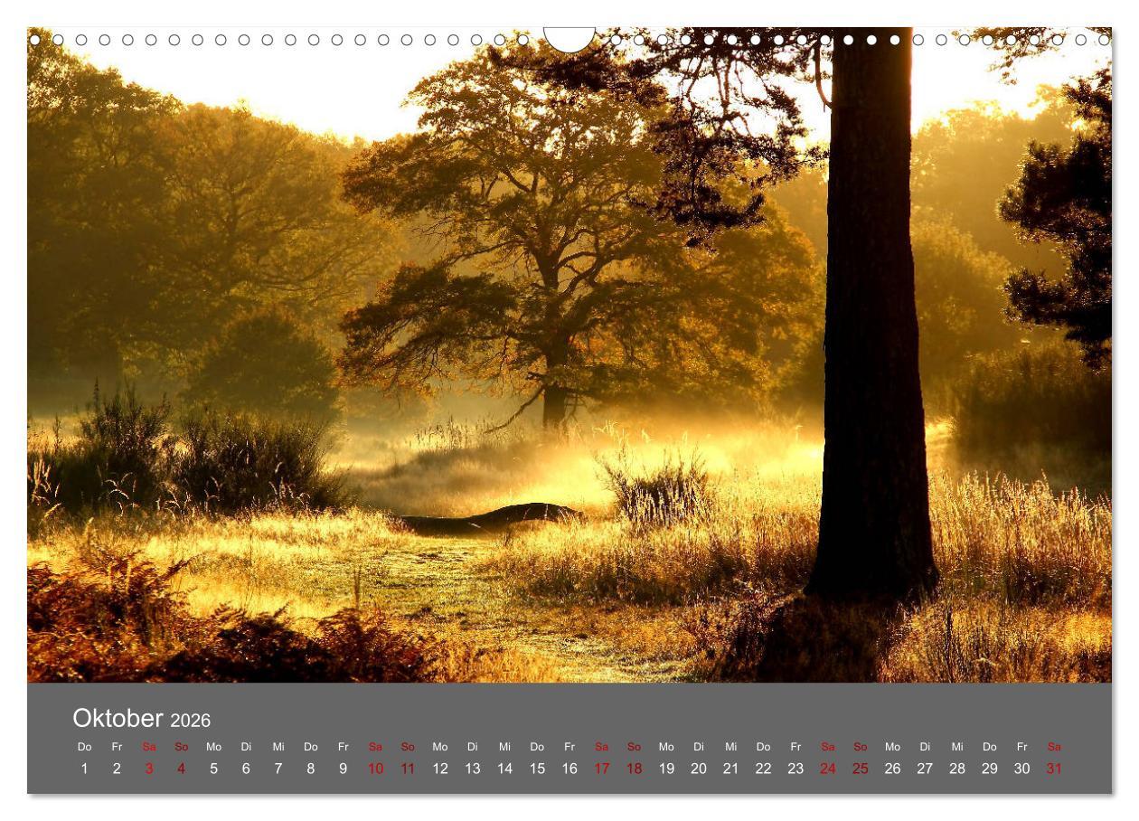 Beispielinhalt (Bild) Wahner Heide - Aussichten und Begegnungen (Wandkalender 2026 DIN A3 quer), CALVENDO Monatskalender