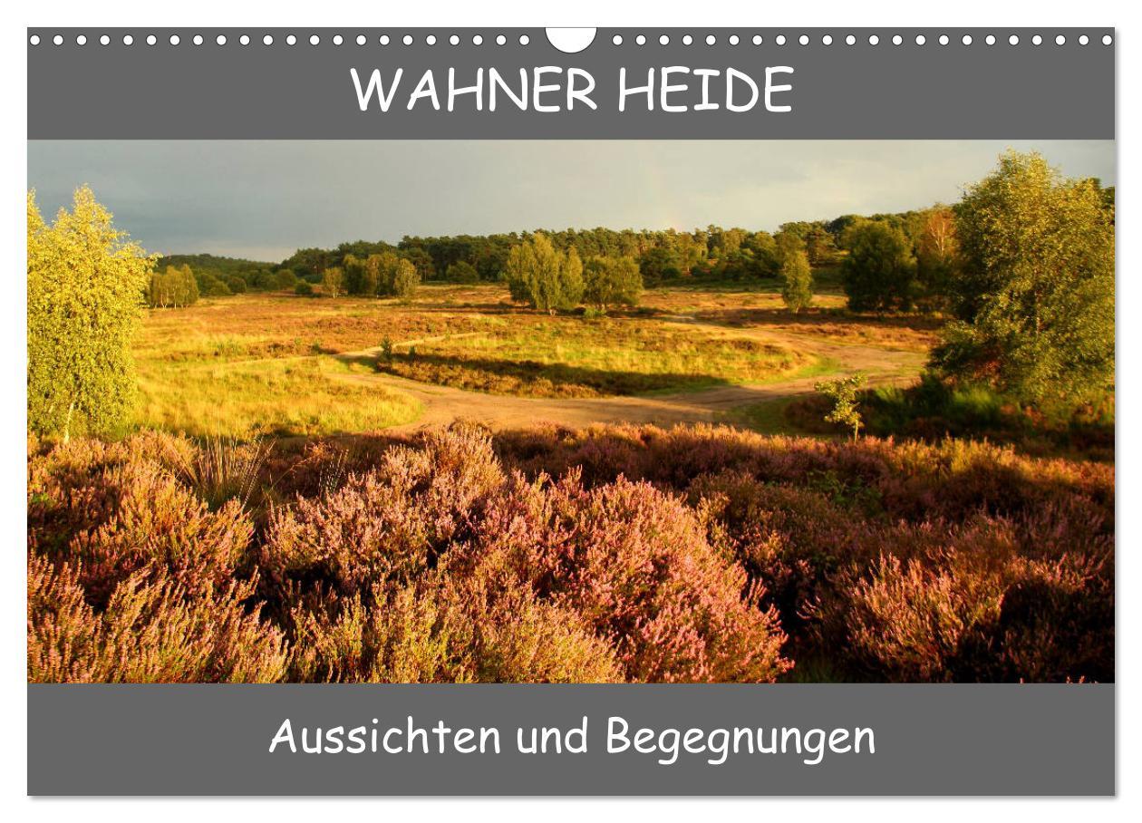 Vorderes Coverbild Wahner Heide - Aussichten und Begegnungen (Wandkalender 2026 DIN A3 quer), CALVENDO Monatskalender