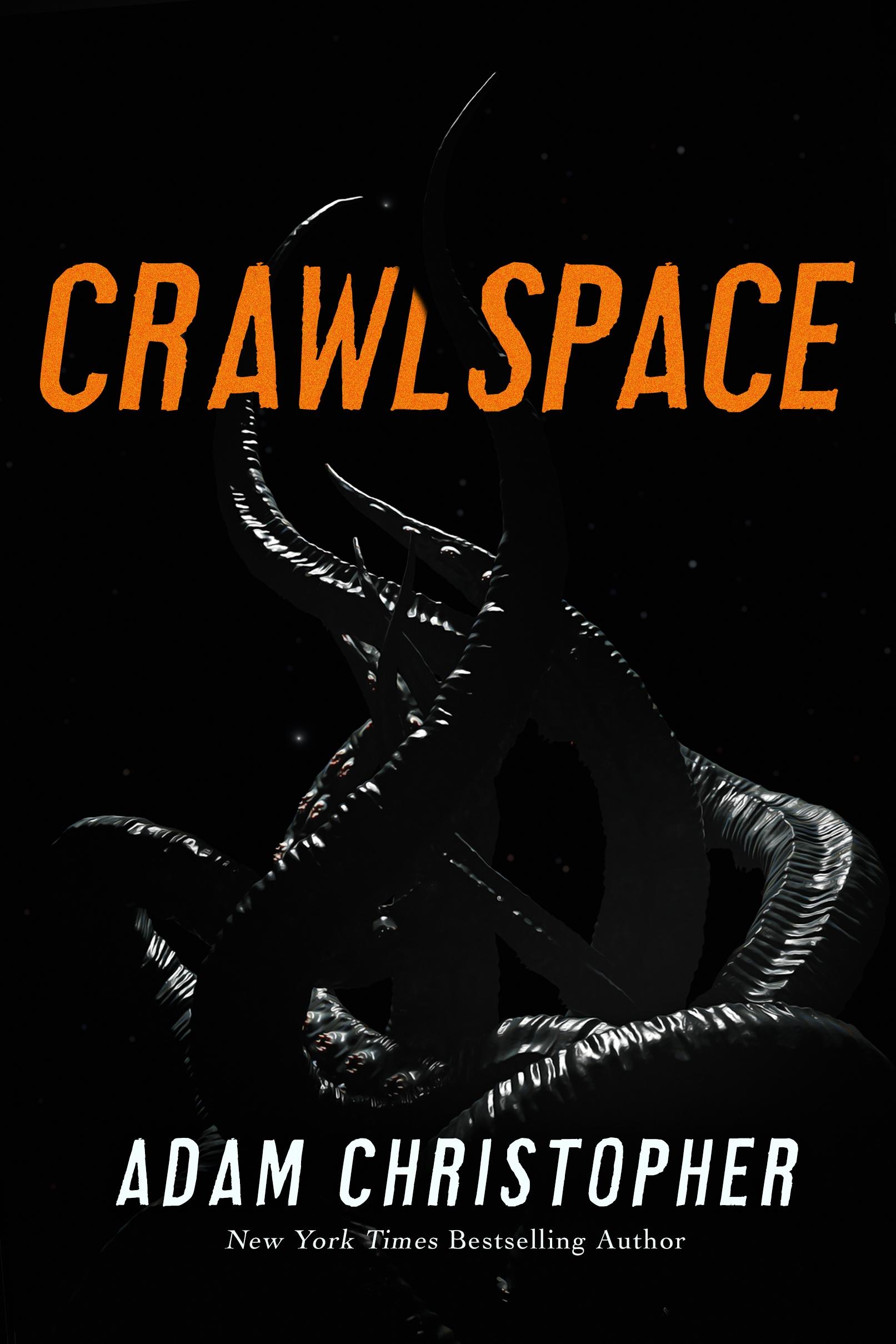Vorderes Coverbild Crawlspace