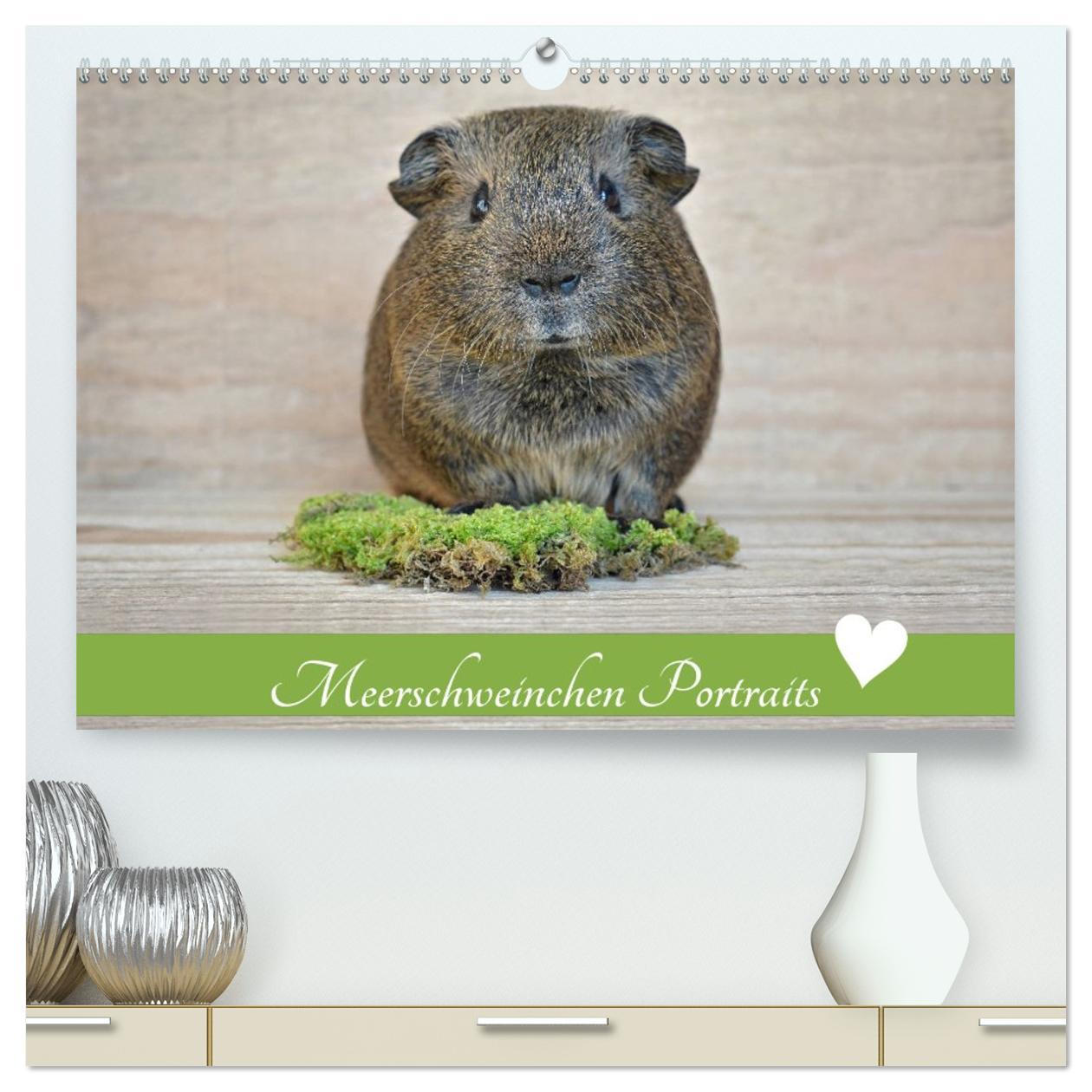 Vorderes Coverbild Meerschweinchen Portraits (hochwertiger Premium Wandkalender 2026 DIN A2 quer), Kunstdruck in Hochglanz