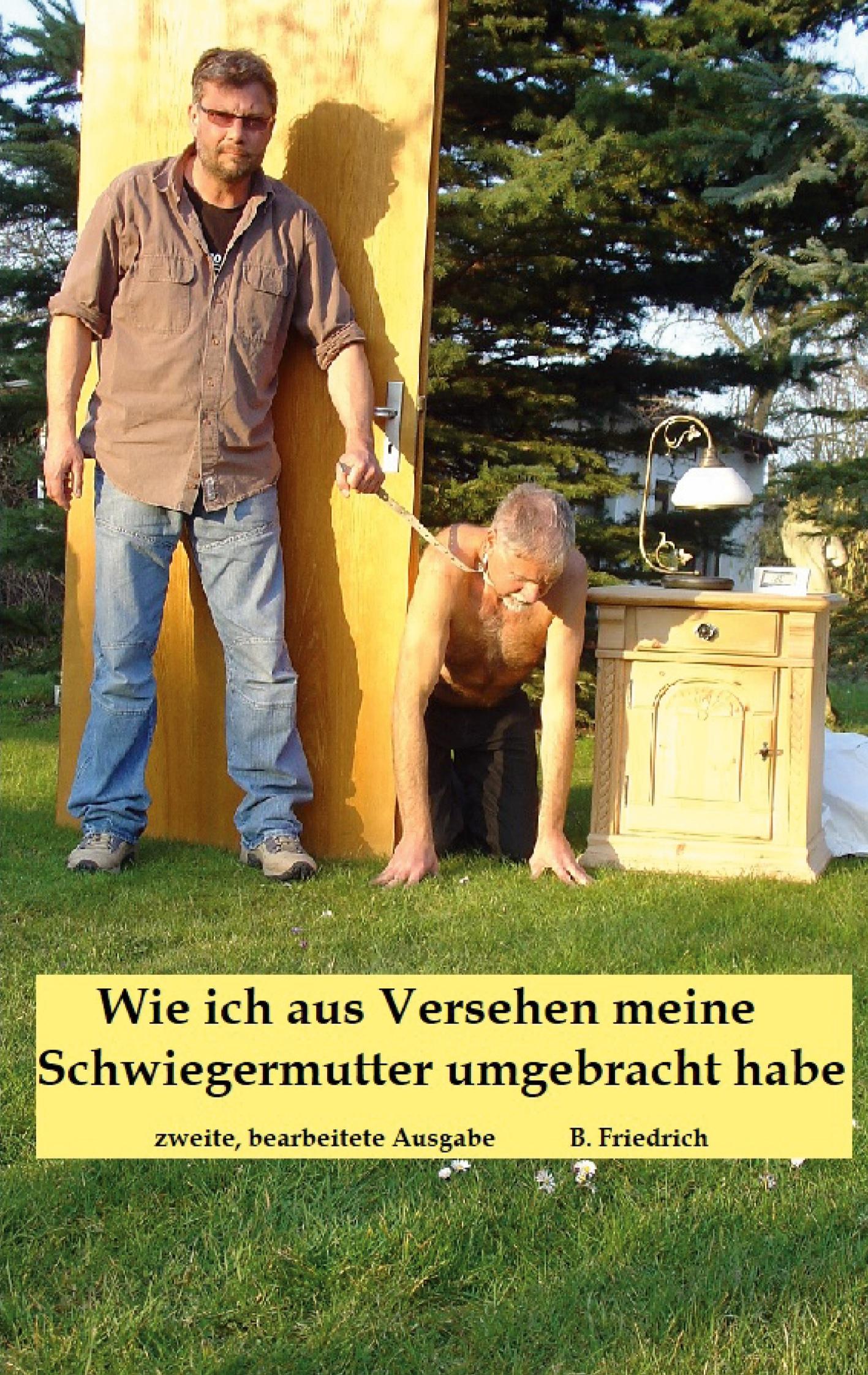 Vorderes Coverbild Wie ich aus Versehen meine Schwiegermutter umgebracht habe