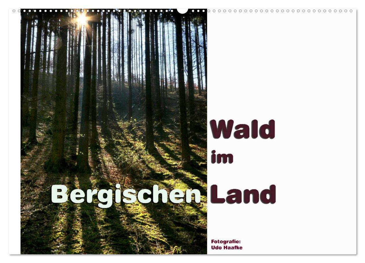 Vorderes Coverbild Wald im Bergischen Land 2026 (Wandkalender 2026 DIN A2 quer), CALVENDO Monatskalender