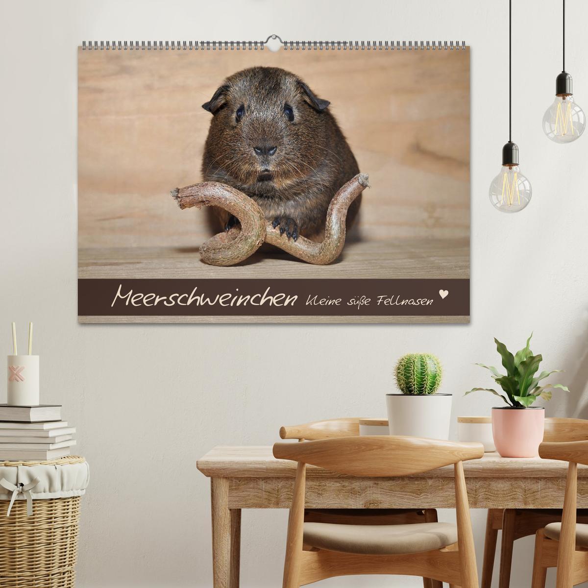 Beispielinhalt (Bild) Meerschweinchen - Kleine süße Fellnasen (Wandkalender 2026 DIN A2 quer), CALVENDO Monatskalender