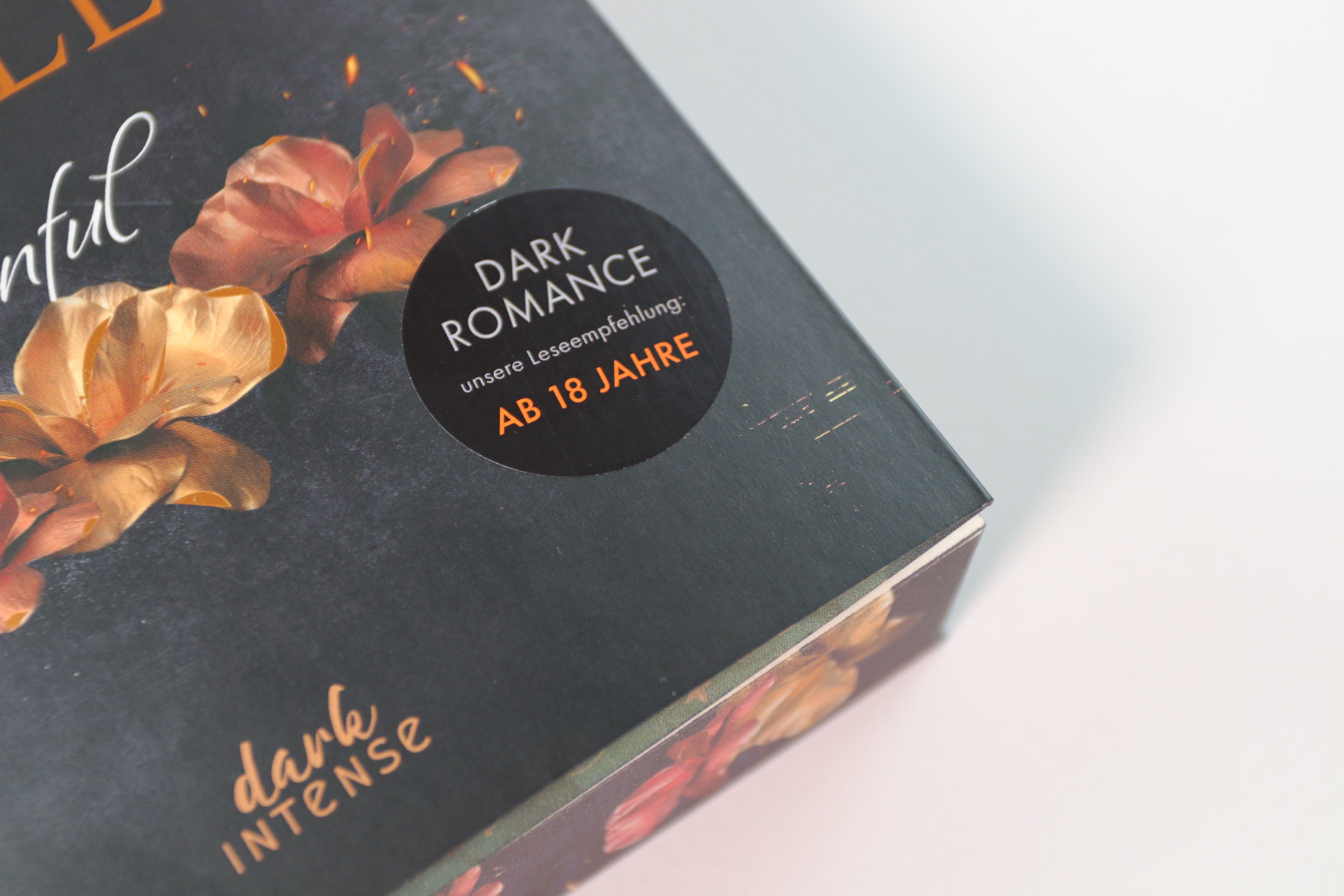 Beispielinhalt (Bild) Chicago Ruthless (Band 1) - Sinful