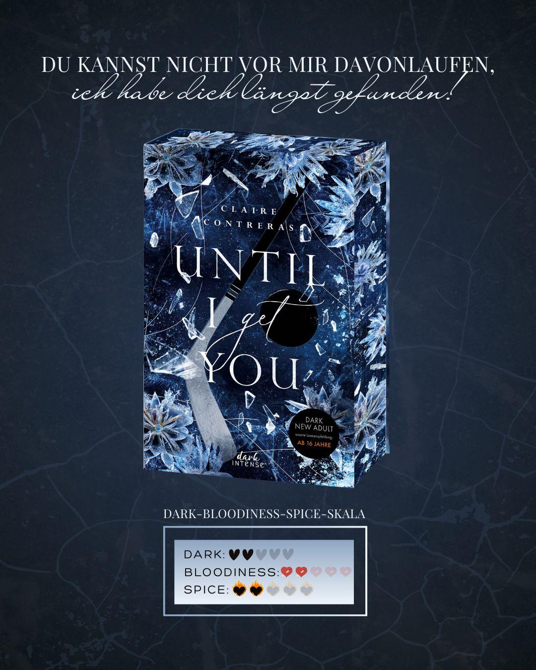 Beispielinhalt (Bild) Until I Get You (Fairview Hockey, Band 1)