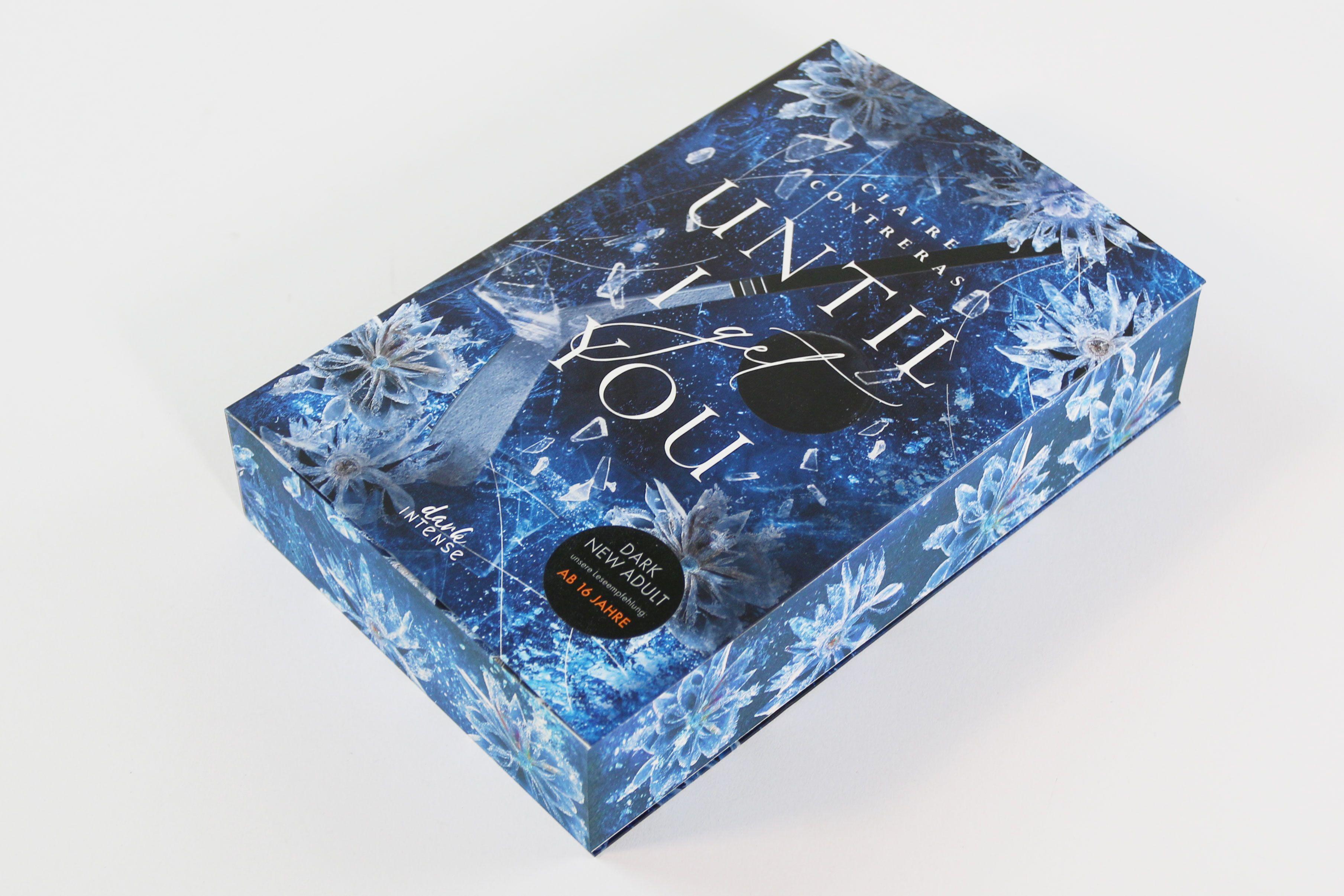 Beispielinhalt (Bild) Until I Get You (Fairview Hockey, Band 1)