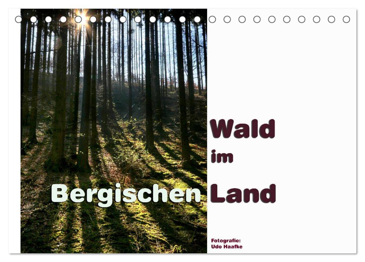 Vorderes Coverbild Wald im Bergischen Land 2026 (Tischkalender 2026 DIN A5 quer), CALVENDO Monatskalender