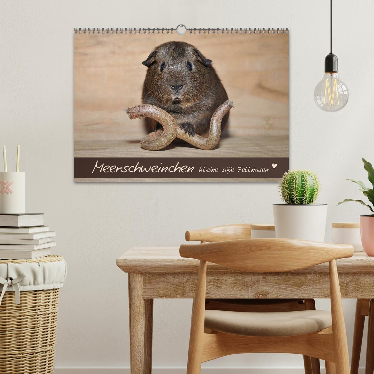 Beispielinhalt (Bild) Meerschweinchen - Kleine süße Fellnasen (Wandkalender 2026 DIN A3 quer), CALVENDO Monatskalender