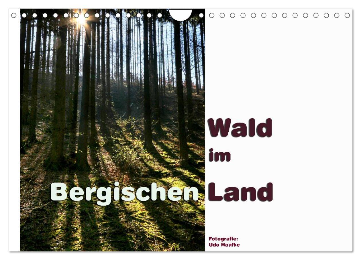 Vorderes Coverbild Wald im Bergischen Land 2026 (Wandkalender 2026 DIN A4 quer), CALVENDO Monatskalender