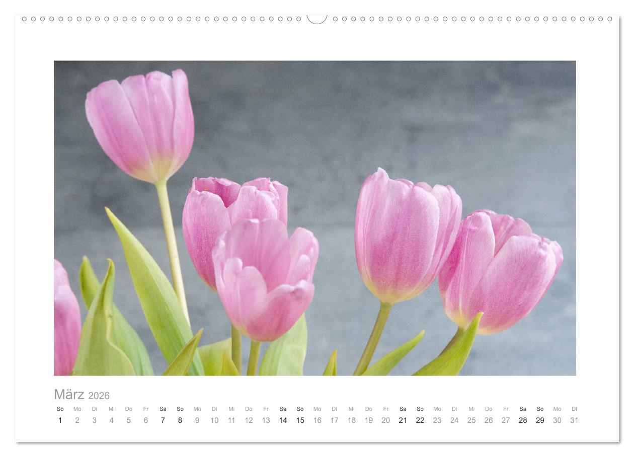 Beispielinhalt (Bild) Blumen zart und schön (hochwertiger Premium Wandkalender 2026 DIN A2 quer), Kunstdruck in Hochglanz