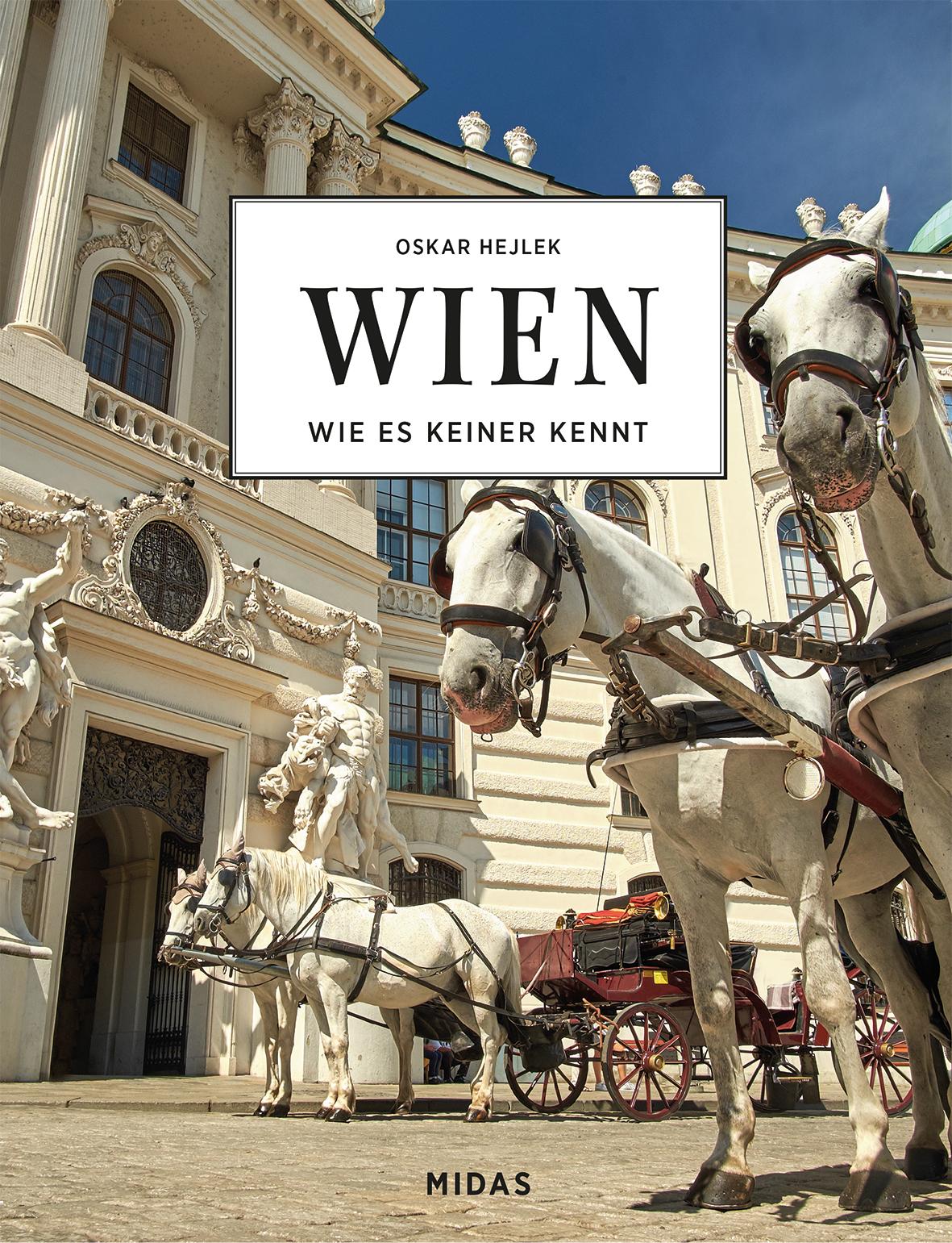 Vorderes Coverbild WIEN - Wie es keiner kennt
