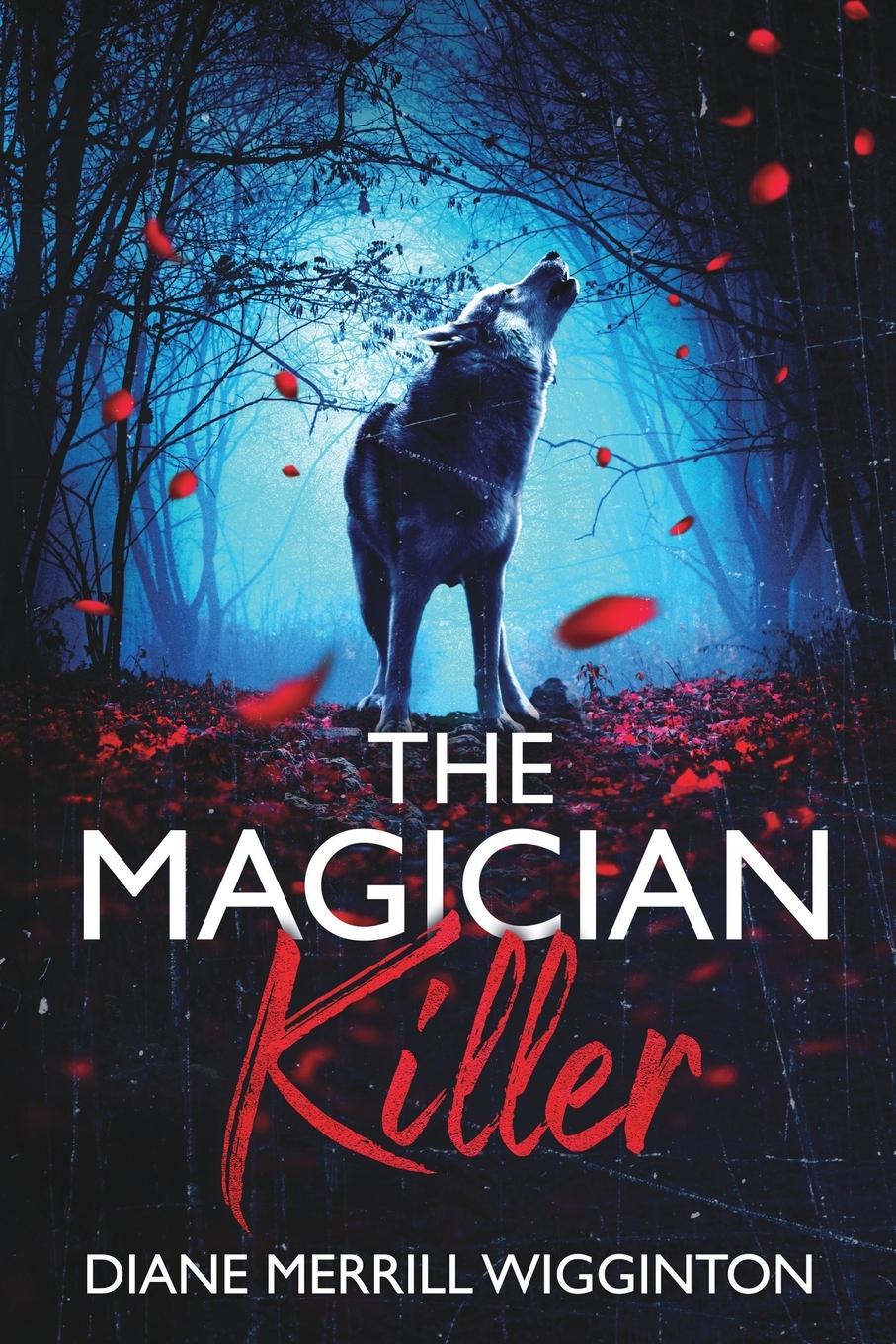 Vorderes Coverbild The Magician Killer