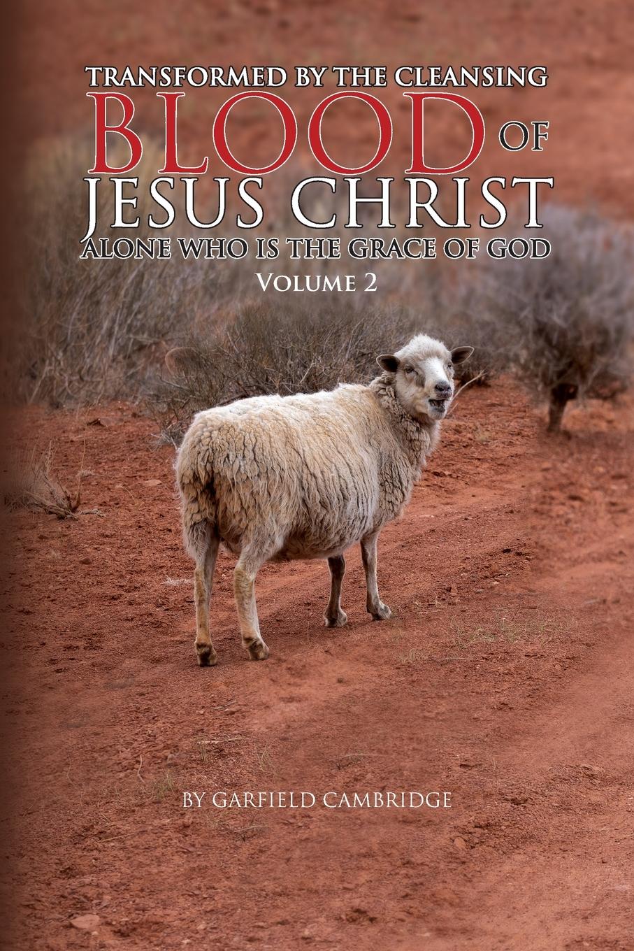 Vorderes Coverbild Transformed by the Blood of Jesus Christ Alone, Who Is the Grace of God