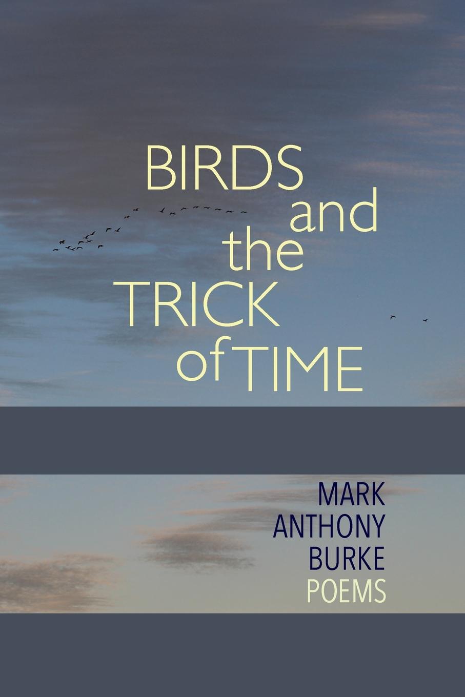 Vorderes Coverbild Birds and the Trick of Time