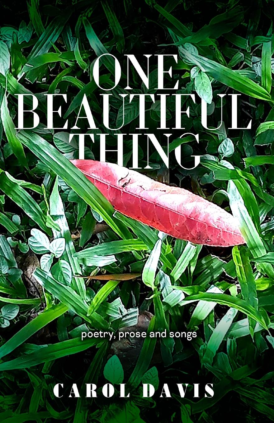 Vorderes Coverbild One Beautiful Thing