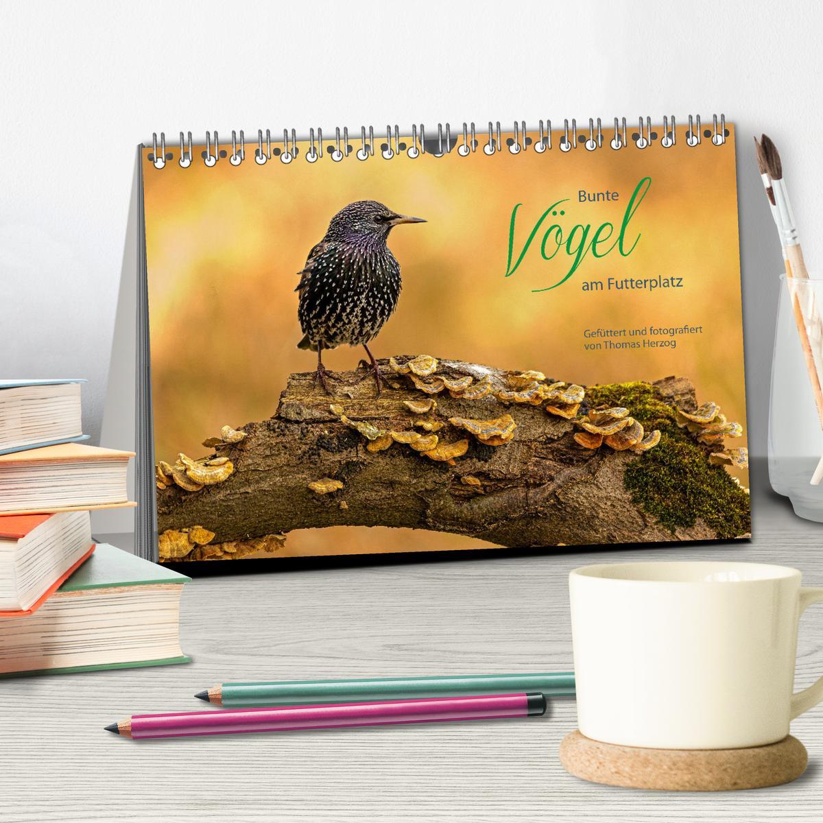 Beispielinhalt (Bild) Bunte Vögel am Futterplatz (Tischkalender 2026 DIN A5 quer), CALVENDO Monatskalender