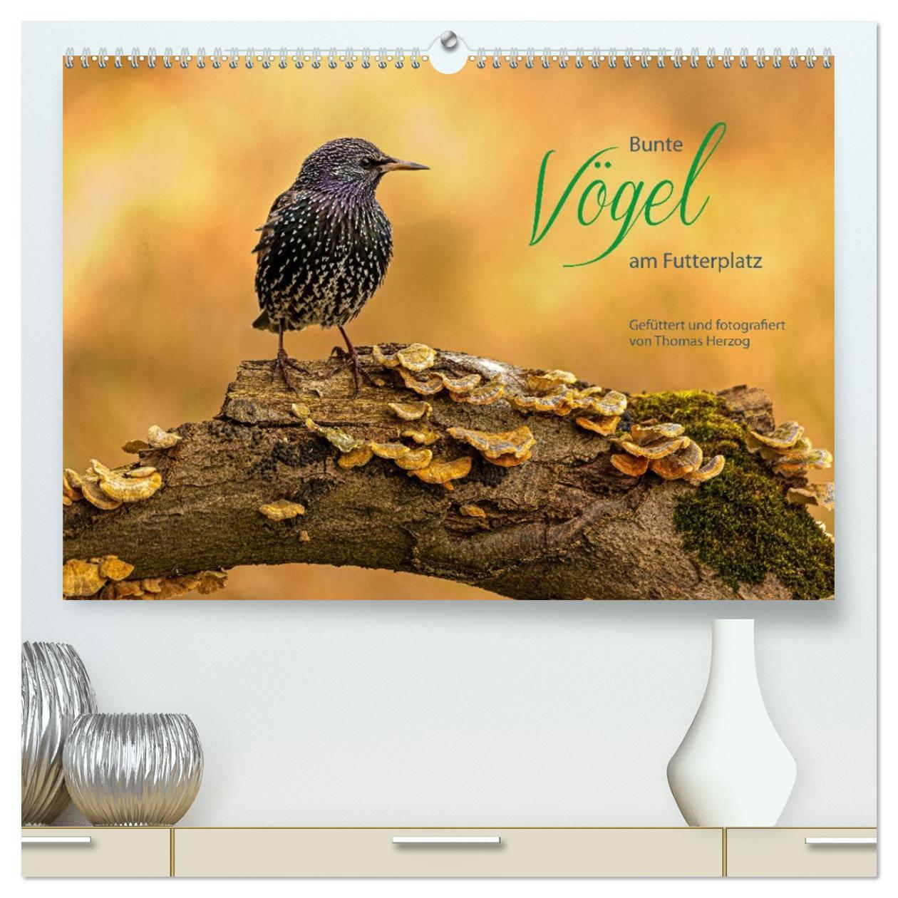 Vorderes Coverbild Bunte Vögel am Futterplatz (hochwertiger Premium Wandkalender 2026 DIN A2 quer), Kunstdruck in Hochglanz