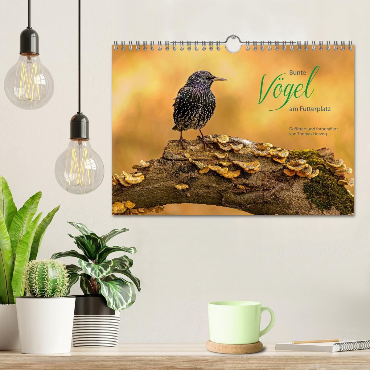 Beispielinhalt (Bild) Bunte Vögel am Futterplatz (Wandkalender 2026 DIN A4 quer), CALVENDO Monatskalender