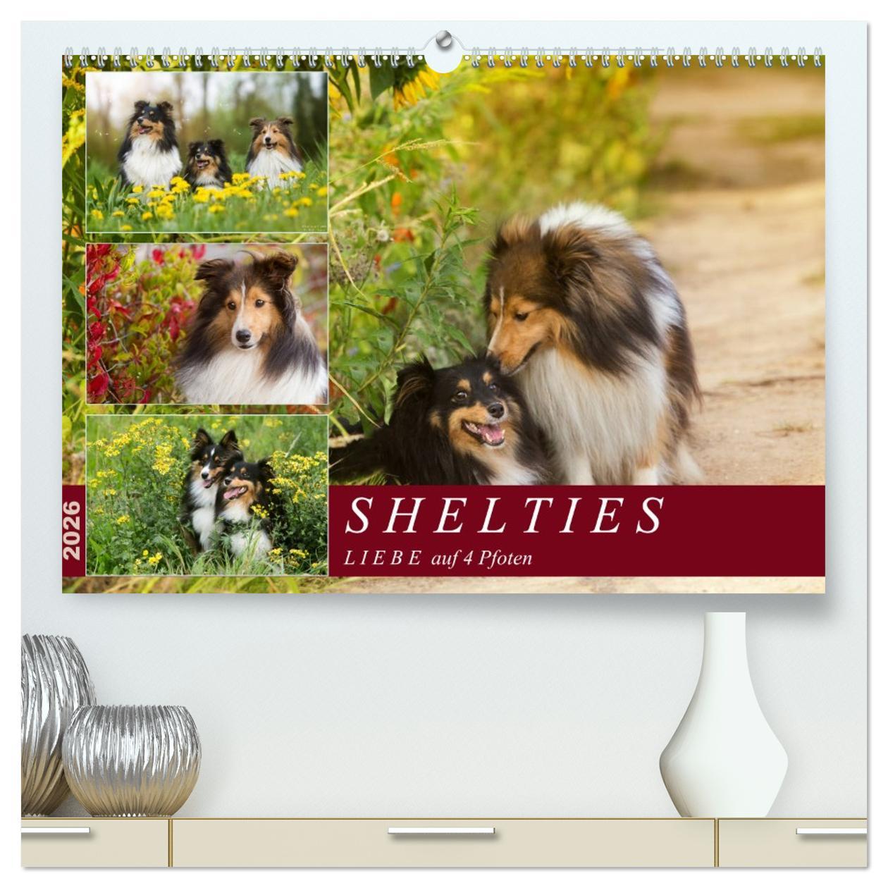 Vorderes Coverbild SHELTIES Liebe auf 4 Pfoten (hochwertiger Premium Wandkalender 2026 DIN A2 quer), Kunstdruck in Hochglanz