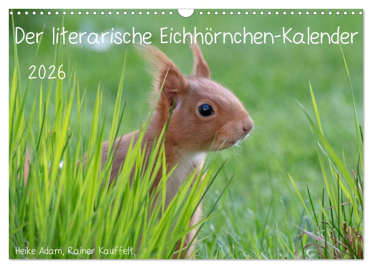 Vorderes Coverbild Der literarische Eichhörnchen-Kalender (Wandkalender 2026 DIN A3 quer), CALVENDO Monatskalender