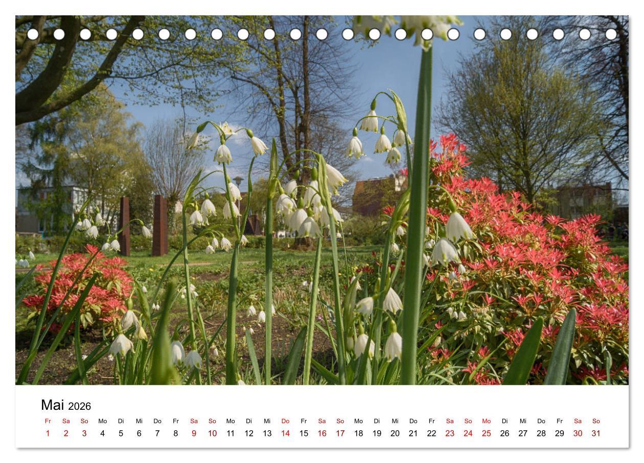 Beispielinhalt (Bild) Buxtehude - Eine Perle in Niedersachsen (Tischkalender 2026 DIN A5 quer), CALVENDO Monatskalender