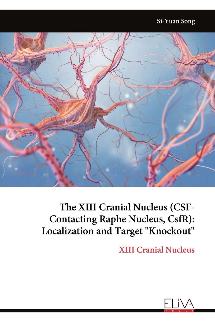 Vorderes Coverbild The XIII Cranial Nucleus (CSF-Contacting Raphe Nucleus, CsfR)