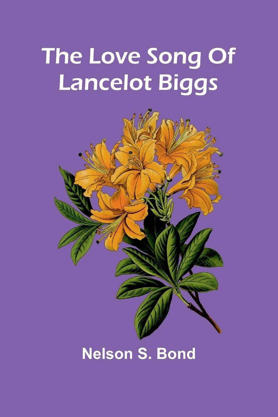 Vorderes Coverbild The Love Song Of Lancelot Biggs