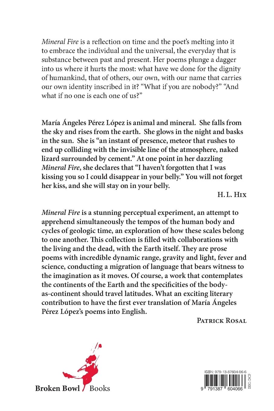 Rückseitencover Mineral Fire