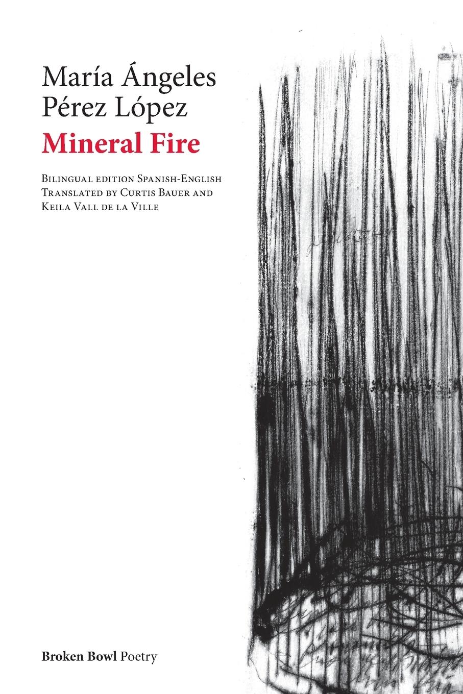 Vorderes Coverbild Mineral Fire