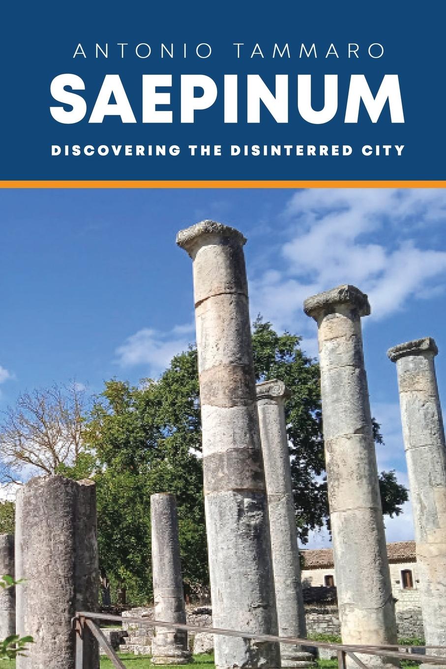 Vorderes Coverbild SAEPINUM