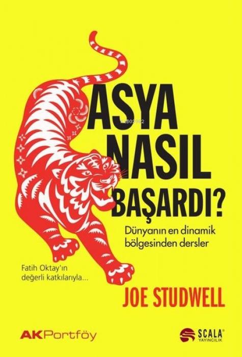 Vorderes Coverbild Asya Nasil Basardi