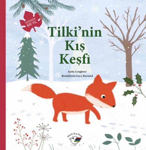 Vorderes Coverbild Dogada Bir Yil - Tilkinin Kis Kesfi
