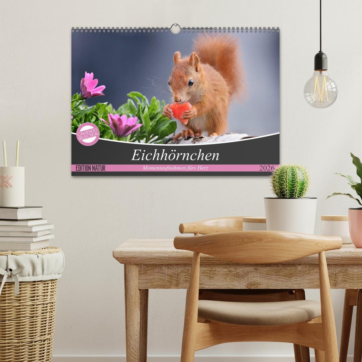 Beispielinhalt (Bild) Eichhörnchen Momentaufnahmen fürs Herz (Wandkalender 2026 DIN A3 quer), CALVENDO Monatskalender