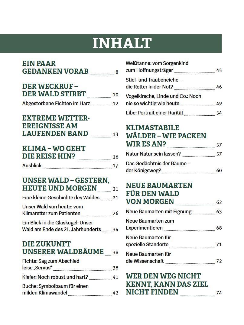 Beispielinhalt (Bild) Wald im Wandel