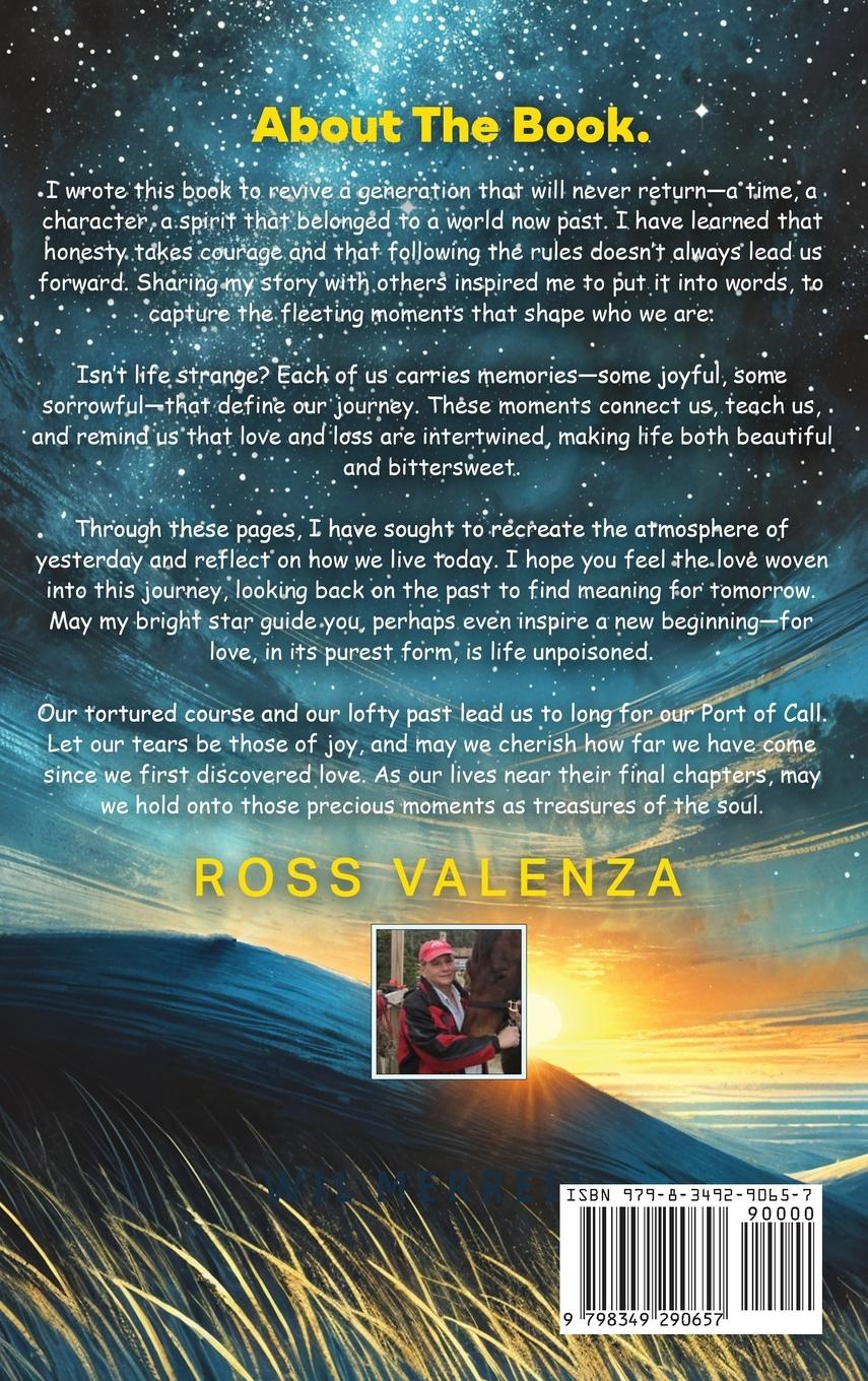 Rückseitencover In The Shadow of The Stars