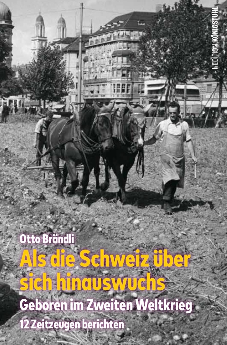 Vorderes Coverbild Als die Schweiz über sich hinauswuchs