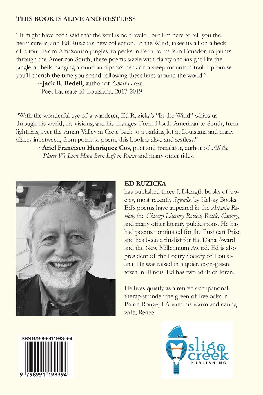 Rückseitencover In the Wind