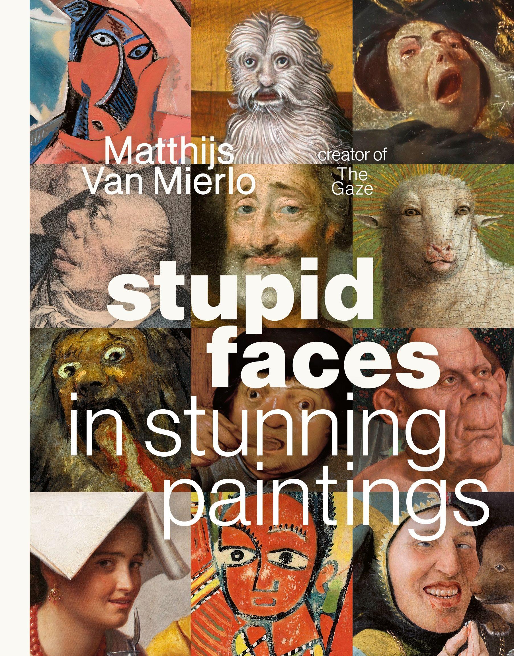 Vorderes Coverbild Stupid Faces in Stunning Paintings