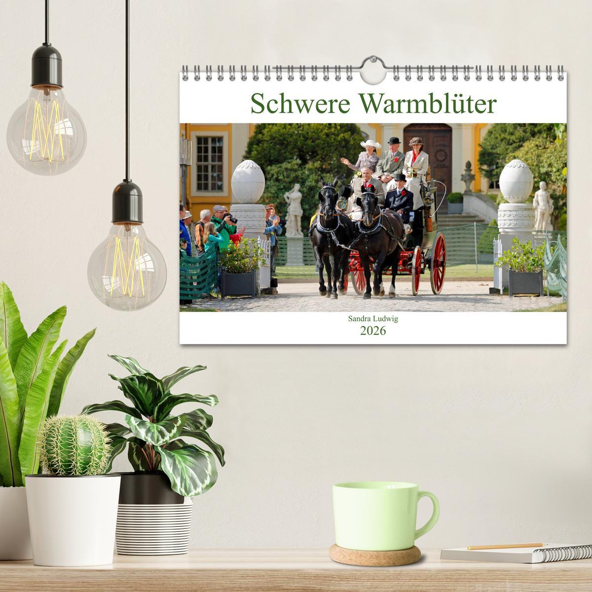 Beispielinhalt (Bild) Schwere Warmblüter 2026 (Wandkalender 2026 DIN A4 quer), CALVENDO Monatskalender
