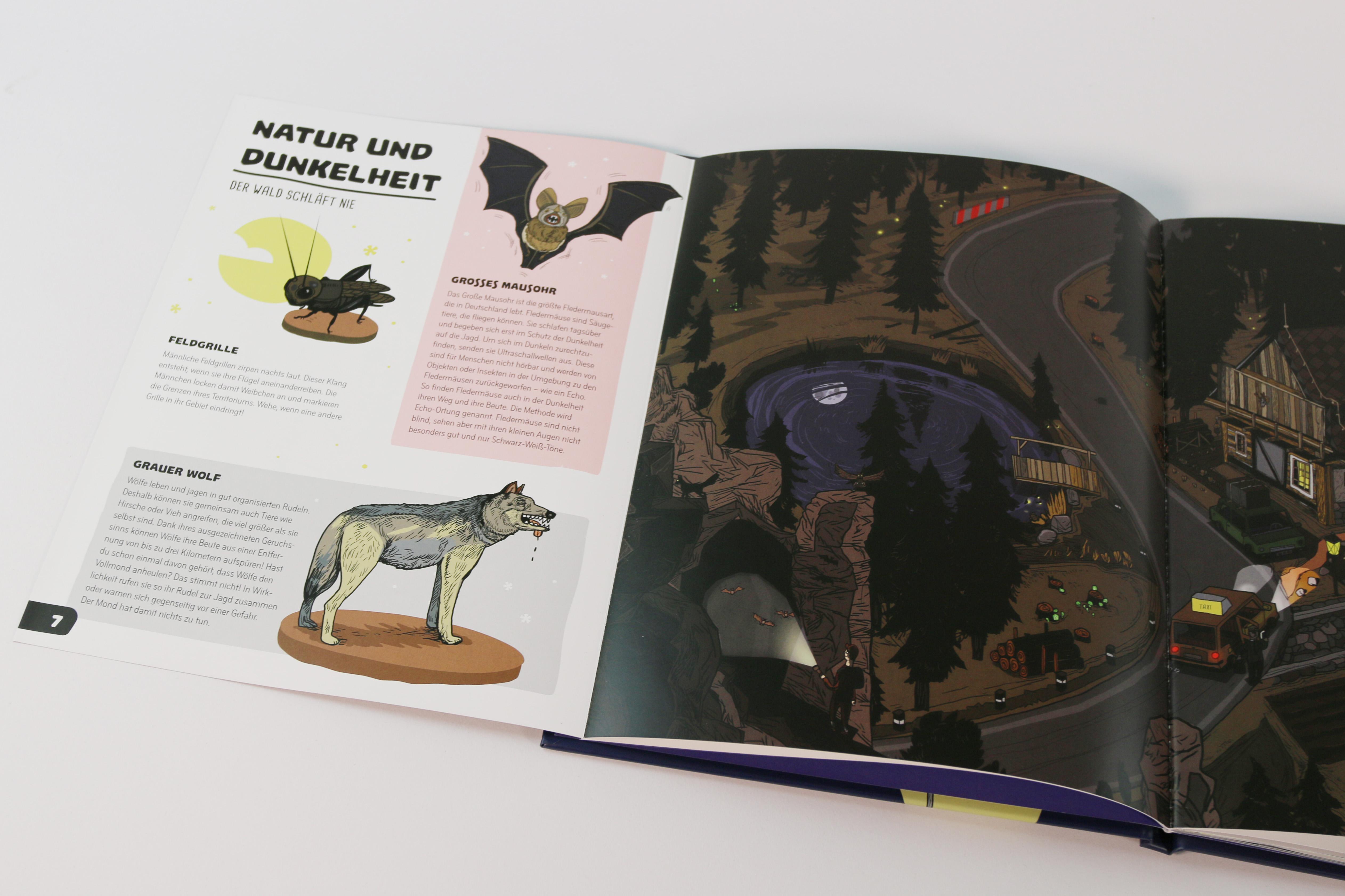 Beispielinhalt (Bild) Was geschieht im Dunkeln?