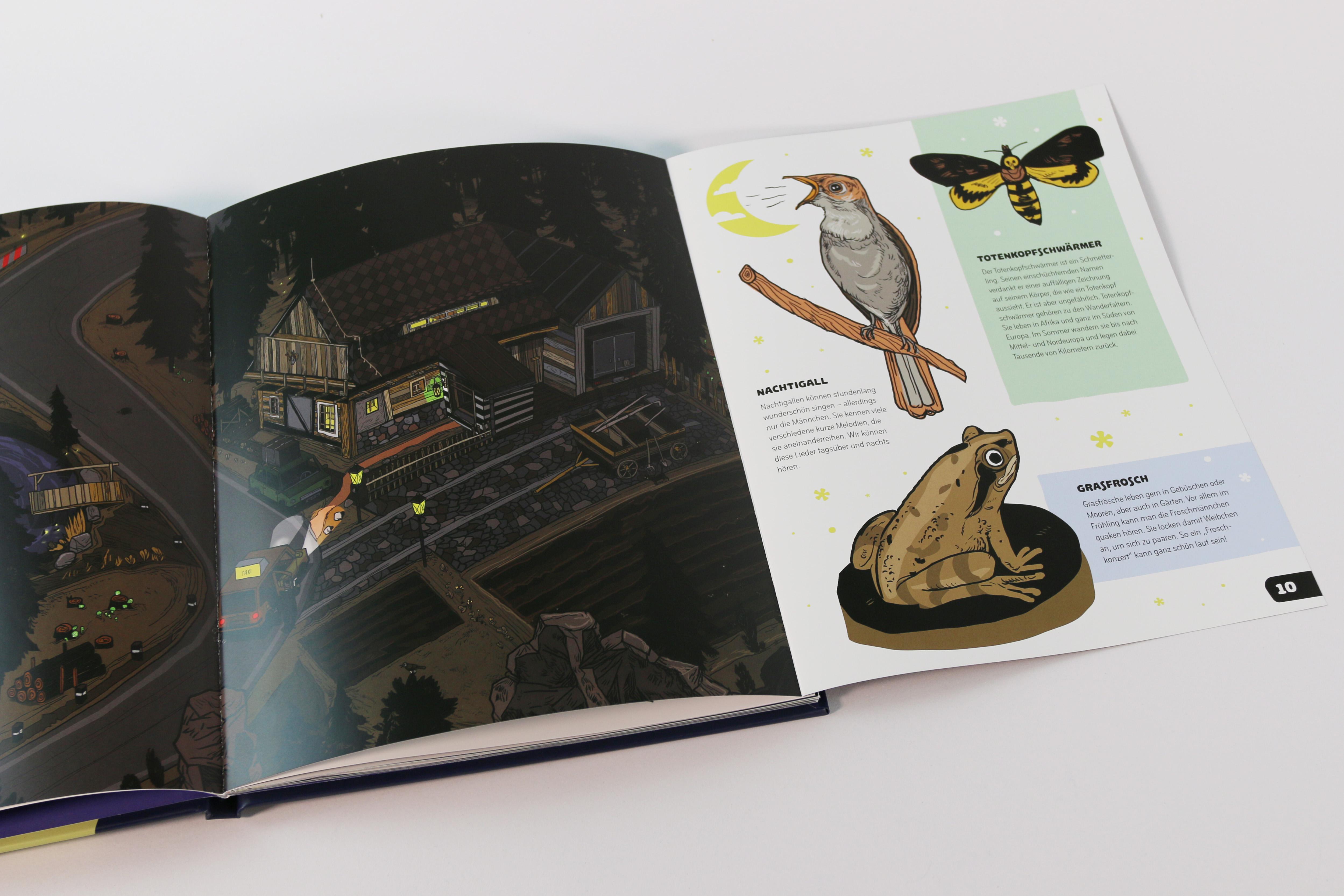 Beispielinhalt (Bild) Was geschieht im Dunkeln?