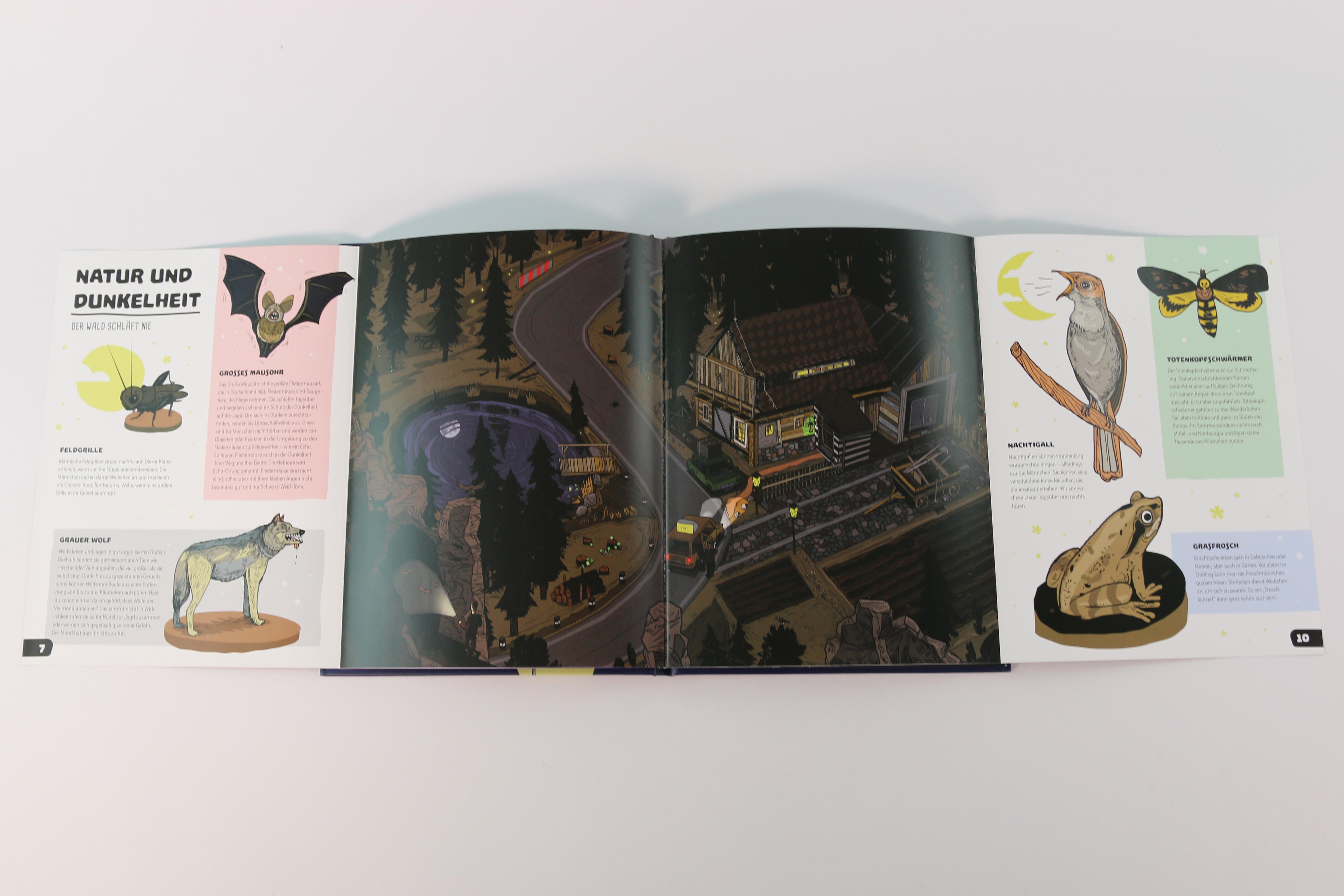 Beispielinhalt (Bild) Was geschieht im Dunkeln?