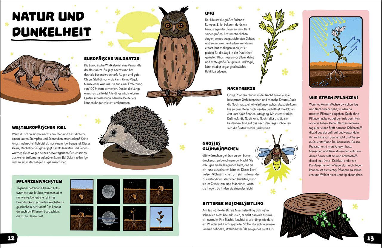 Beispielinhalt (Bild) Was geschieht im Dunkeln?