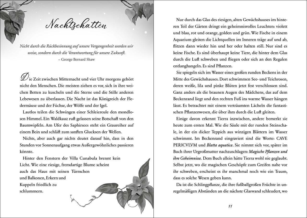 Beispielinhalt (Bild) Flora Magica (Band 2) - Die Gabe der bösen Kräuter
