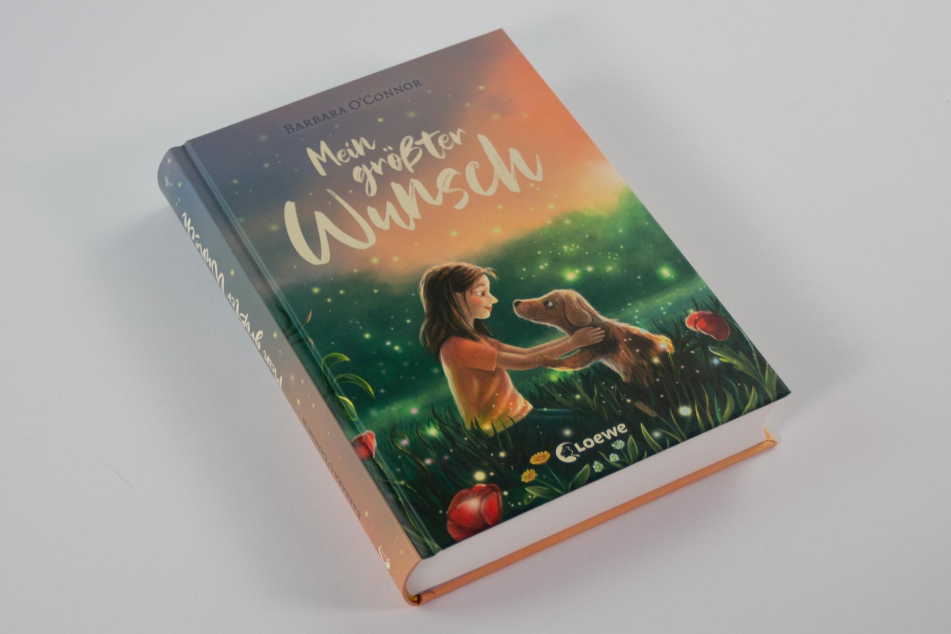 Beispielinhalt (Bild) Mein größter Wunsch