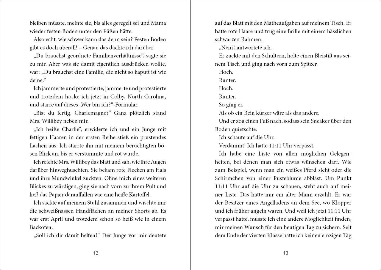 Beispielinhalt (Bild) Mein größter Wunsch