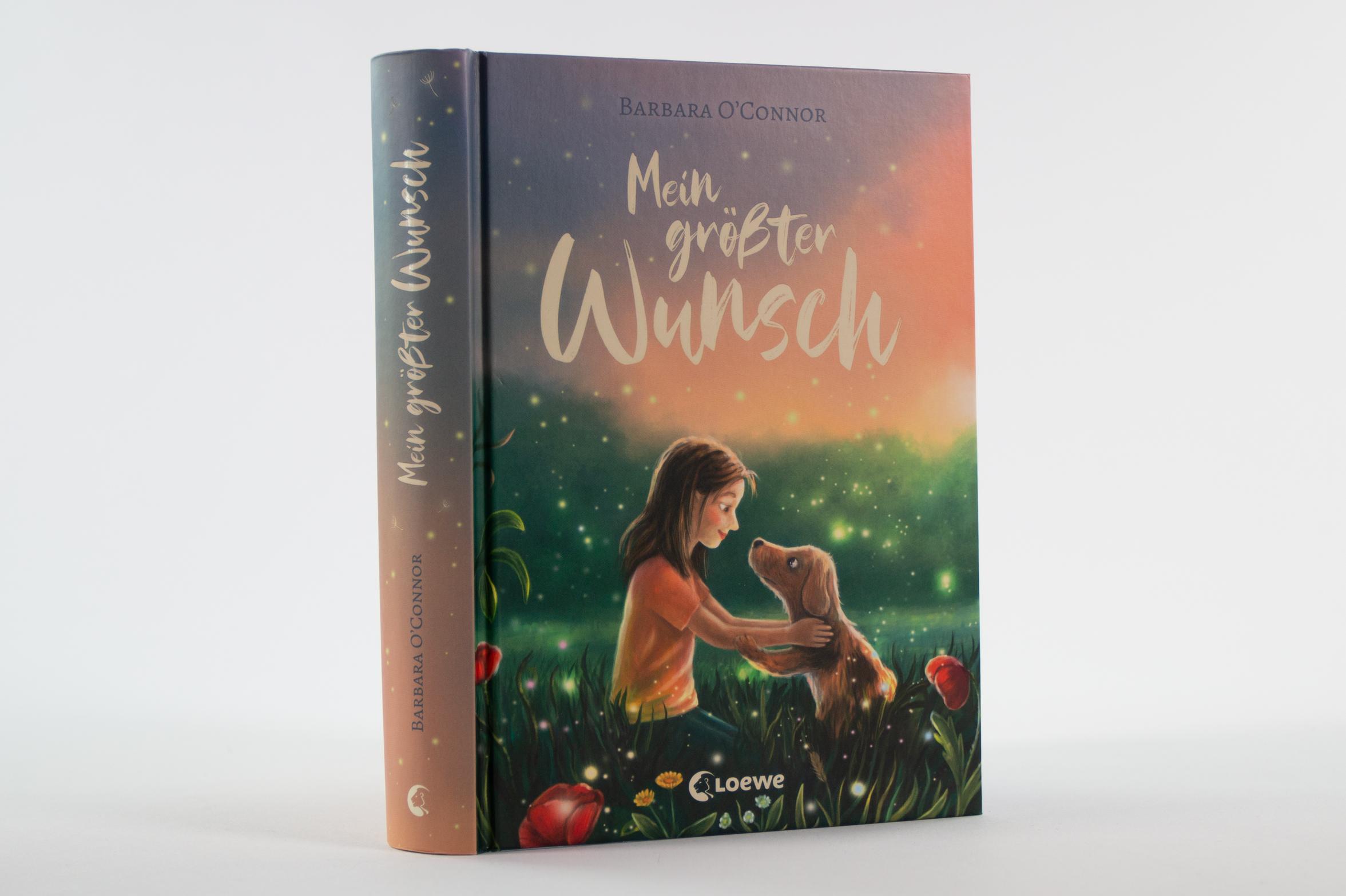 Beispielinhalt (Bild) Mein größter Wunsch